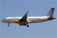 ©Alfonso Solís - Asociación Canary Islands Spotting. Click to see full size photo ©Alfonso Solís - Asociación Canary Islands Spotting. Click to see full size photo
