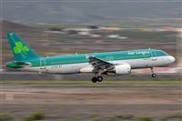Miguel A. gueda Rguez.  (CANARY ISLANDS SPOTTING). Haz click para ampliar