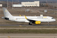 ©Alfonso Solís - Asociación Canary Islands Spotting. Click to see full size photo ©Alfonso Solís - Asociación Canary Islands Spotting. Click to see full size photo