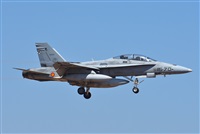 ©J. Victor Vega-Gran Canaria Spotters. Click to see full size photo ©J. Victor Vega-Gran Canaria Spotters. Click to see full size photo