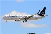Miguel A. gueda Rguez.  (CANARY ISLANDS SPOTTING). Click to see full size photo