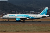 Miguel A. gueda Rguez.  (CANARY ISLANDS SPOTTING). Click to see full size photo