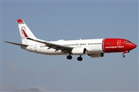 ©Alfonso Solís - Asociación Canary Islands Spotting. Click to see full size photo ©Alfonso Solís - Asociación Canary Islands Spotting. Click to see full size photo