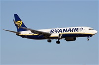 Alfonso Sols - Asociacin Canary Islands Spotting. Click to see full size photo