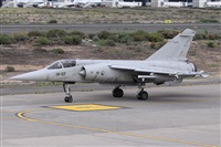 ©Alfonso Solís - Asociación Canary Islands Spotting. Click to see full size photo ©Alfonso Solís - Asociación Canary Islands Spotting. Click to see full size photo
