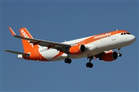 Alfonso Sols - Asociacin Canary Islands Spotting. Click to see full size photo