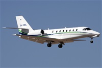 ©Alfonso Solís - Asociación Canary Islands Spotting. Click to see full size photo ©Alfonso Solís - Asociación Canary Islands Spotting. Click to see full size photo