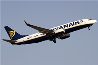 Alfonso Sols - Asociacin Canary Islands Spotting. Haz click para ampliar