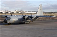 Alfonso Sols - Asociacin Canary Islands Spotting. Click to see full size photo