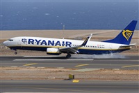 Miguel A. gueda Rguez.  (CANARY ISLANDS SPOTTING). Click to see full size photo