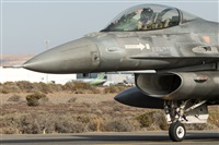 EC-ISM. Click to see full size photo