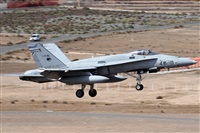 Alfonso Sols - Asociacin Canary Islands Spotting. Haz click para ampliar