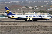 Alfonso Sols - Asociacin Canary Islands Spotting. Haz click para ampliar