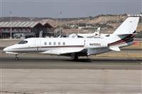 ©Alfonso Solís - Asociación Canary Islands Spotting. Click to see full size photo ©Alfonso Solís - Asociación Canary Islands Spotting. Click to see full size photo