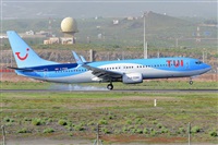 Miguel A. gueda Rguez.  (CANARY ISLANDS SPOTTING). Click to see full size photo