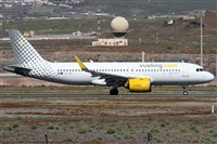 ©Alfonso Solís - Asociación Canary Islands Spotting. Click to see full size photo ©Alfonso Solís - Asociación Canary Islands Spotting. Click to see full size photo