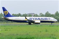 Miguel A. gueda Rguez.  (CANARY ISLANDS SPOTTING). Click to see full size photo