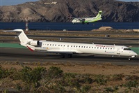©Adolfo Bento - Gran Canaria Spotters. Click to see full size photo ©Adolfo Bento - Gran Canaria Spotters. Click to see full size photo