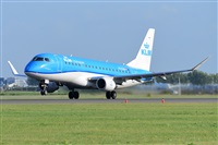 Miguel A. gueda Rguez.  (CANARY ISLANDS SPOTTING). Click to see full size photo