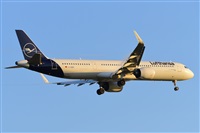 Miguel A. gueda Rguez.  (CANARY ISLANDS SPOTTING). Click to see full size photo