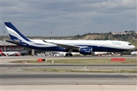 ©Alfonso Solís - Asociación Canary Islands Spotting. Click to see full size photo ©Alfonso Solís - Asociación Canary Islands Spotting. Click to see full size photo