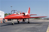 �Alejandro Torres C (M�xico). Click to see full size photo