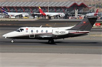 �Alfonso Sol�s - Asociaci�n Canary Islands Spotting. Click to see full-size photo