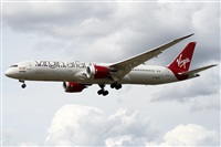 �Alfonso Sol�s - Asociaci�n Canary Islands Spotting. Click to see full size photo