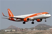 ©Alfonso Solís - Asociación Canary Islands Spotting. Click to see full size photo ©Alfonso Solís - Asociación Canary Islands Spotting. Click to see full size photo