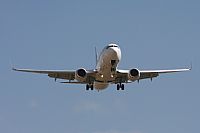 Jos Miguel Bernases - Noisy Spotters. Click to see full size photo