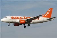 Rodrigo Carvalho - Noisy Spotters. Click to see full size photo