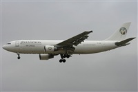 Jos Miguel Bernases - Noisy Spotters. Click to see full size photo