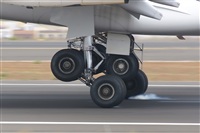 Gerardo A. Prez   Canary Islands Spotting. Click to see full size photo