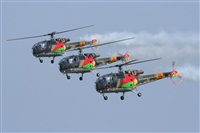 Javier Bozzino Barbudo. Click to see full size photo