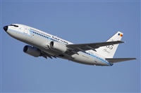 Jos Miguel Bernases - Noisy Spotters. Click to see full size photo