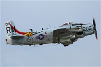 Rodrigo Carvalho - Noisy Spotters. Click to see full size photo