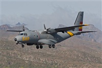 Gerardo A. Prez   Canary Islands Spotting. Click to see full size photo