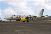 Javier de la Cruz - CANARY ISLANDS SPOTTING. Click to see full size photo