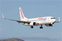 Alfonso Sols - Asociacin Canary Islands Spotting. Click to see full size photo