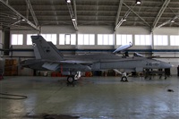 Alfonso Sols - Asociacin Canary Islands Spotting. Click to see full size photo