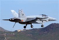 Alejandro H.L - Gran Canaria Spotters. Click to see full size photo
