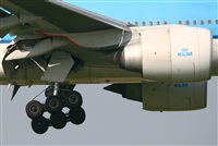 Adrin Alonso Lemes - Lanzarote Spotters. Click to see full size photo