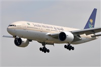 Rubn Gil - Noisy Spotters. Click to see full size photo