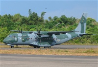 Fabio Duarte - Manaus Spotting Team. Click to see full size photo