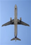 Javier Gonzlez. Click to see full size photo