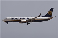 Alfonso Sols - Asociacin Canary Islands Spotting. Haz click para ampliar