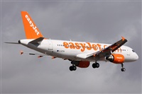 Alfonso Sols - Asociacin Canary Islands Spotting. Click to see full size photo