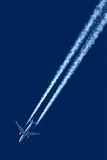 Rodrigo Carvalho - Noisy Spotters. Click to see full size photo