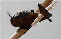 Jorge Guardia Aguila. Click to see full size photo