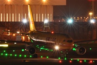Rubn Gil - Noisy Spotters. Click to see full size photo